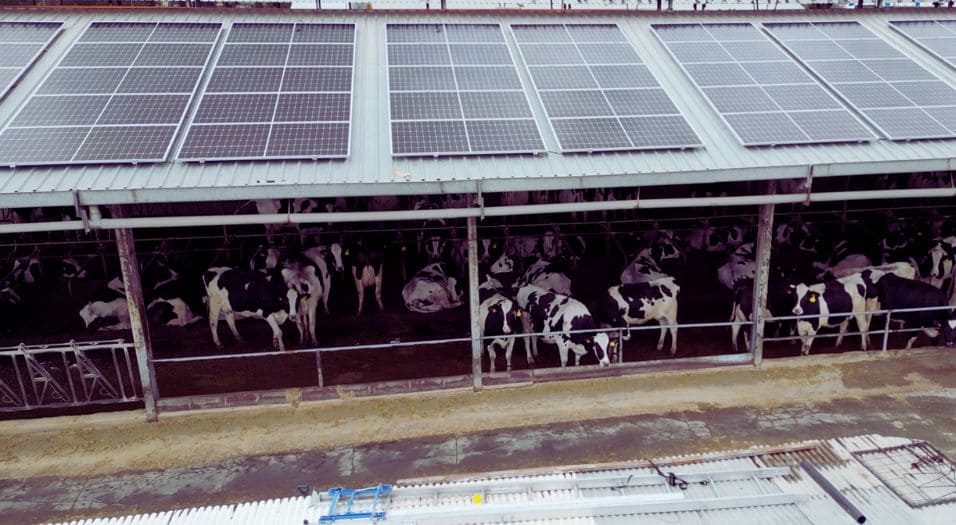 placas-solares-granada-3